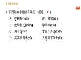 人教版八年级下册语文 第6单元 单元易错专训 习题课件