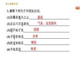 人教版八年级下册语文 第6单元 单元易错专训 习题课件
