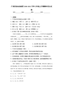 2020-2021学年广西贵港市港南区七年级上学期期中语文试题（含答案与解析）
