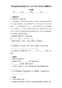 2021-2022学年河北省秦皇岛市青龙县七年级上学期期中语文试题（含答案与解析）