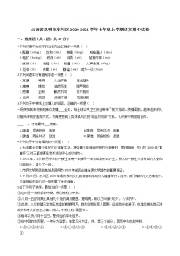 云南省昆明市东川区2020-2021学年七年级上学期语文期中试卷（含答案与解析）