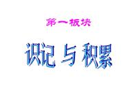 初中语文人教部编版八年级下册安塞腰鼓图文ppt课件