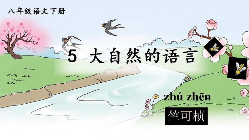 05 大自然的语言-2021-2022学年八年级语文下册同步精品课件（部编版）第5页