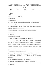 2020-2021学年安徽省阜阳市太和县九年级上学期期中语文试题（含答案与解析）