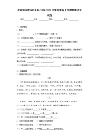 2020-2021学年安徽省合肥市庐阳区九年级上学期期末语文试题（含答案与解析）