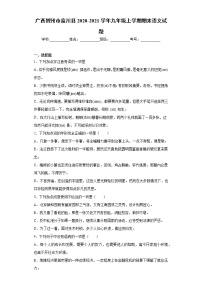 2020-2021学年广西贺州市富川县九年级上学期期末语文试题（含答案与解析）