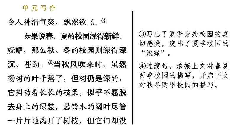 人教版七年级下册语文 第5单元 单元写作：文从字顺 习题课件第8页