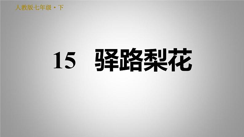 人教版七年级下册语文 第4单元 15. 驿路梨花 习题课件第1页