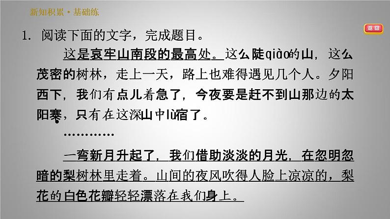 人教版七年级下册语文 第4单元 15. 驿路梨花 习题课件第4页