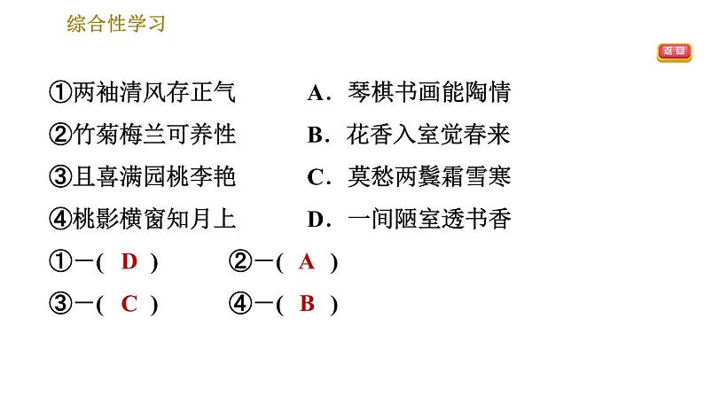 人教版七年级下册语文 第6单元 综合性学习：我的语文生活 习题课件第5页