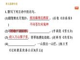 人教版七年级下册语文 第6单元 单元易错专训 习题课件