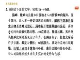 人教版七年级下册语文 第6单元 单元易错专训 习题课件