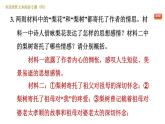 人教版七年级下册语文 第4单元 非连续性文本阅读专题（四） 习题课件