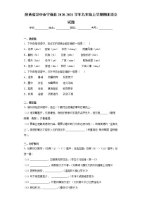 2020-2021学年陕西省汉中市宁强县九年级上学期期末语文试题（含答案与解析）