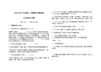 2020-2021学年山东省禹城市实验中学九年级上学期语文期中质量检测（无答案）