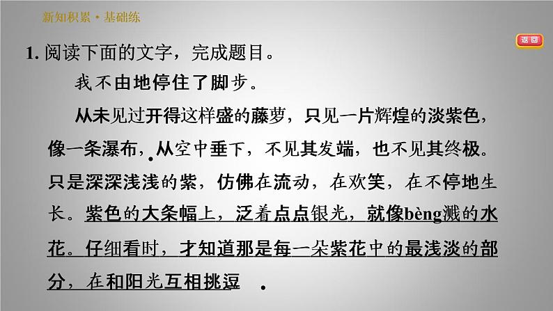 人教版七年级下册语文 第5单元 18. 紫藤萝瀑布 习题课件第4页