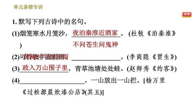 人教版七年级下册语文 第6单元 单元易错专训 习题课件第3页