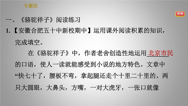 人教版七年级下册语文 期末专题训练 4.专题四 名著阅读 习题课件第3页