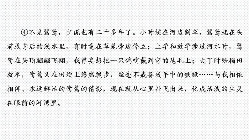 2022年中考语文复习专题-记叙文阅读课件（共112页）第4页