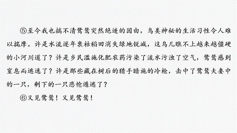 2022年中考语文复习专题-记叙文阅读课件（共112页）第5页