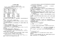 云南省保山市第九中学2021届九年级上学期11月阶段性检测语文试题（无答案）