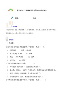 假日致知——部编版语文八年级下册桃花源记寒假提前学练习题