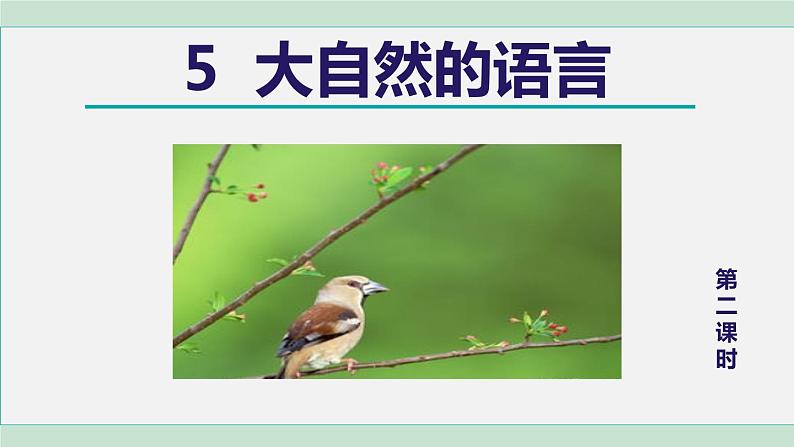 部编版八年级语文下册 第2单元 5大自然的语言 课件01