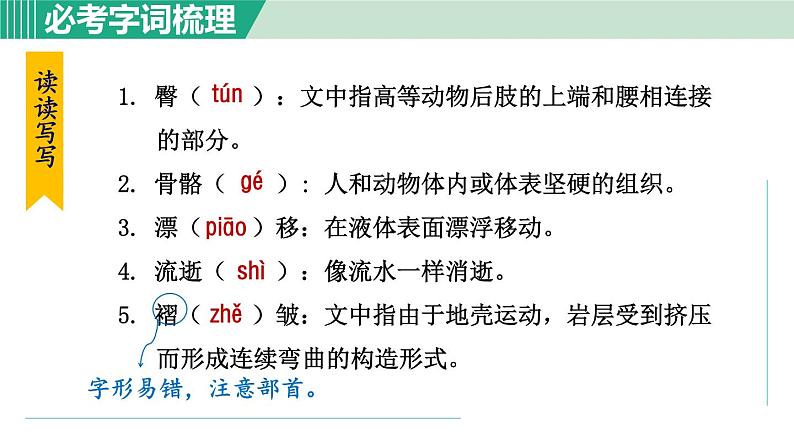6.恐龙无处不有第8页
