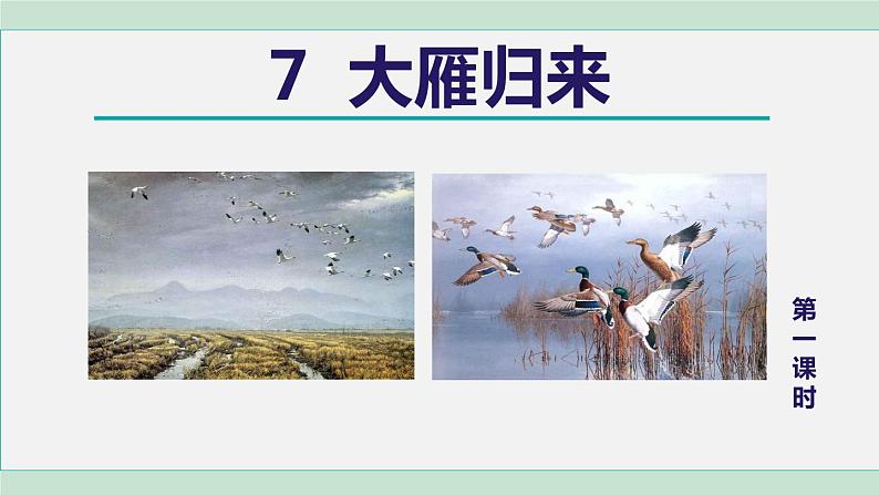 部编版八年级语文下册 第2单元 7大雁归来 课件01