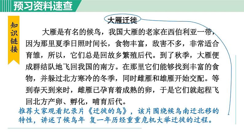 部编版八年级语文下册 第2单元 7大雁归来 课件08