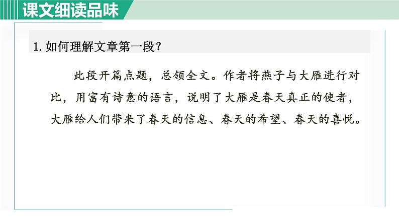 部编版八年级语文下册 第2单元 7大雁归来 课件02