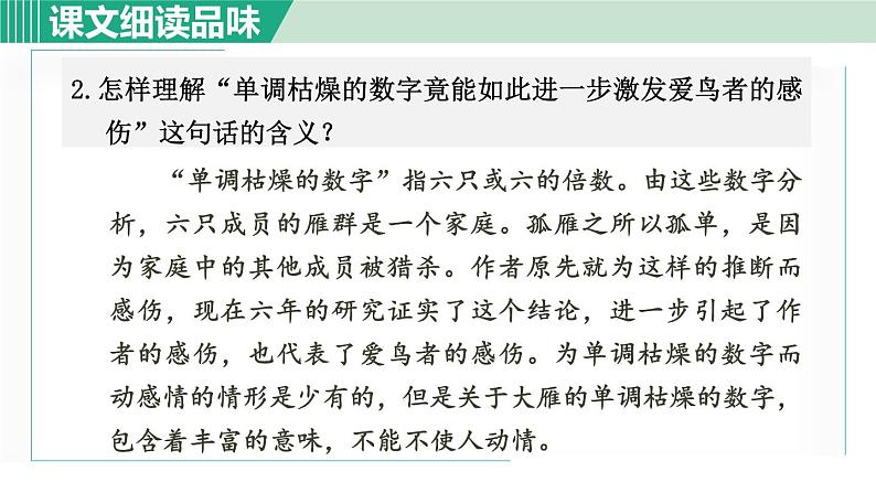 部编版八年级语文下册 第2单元 7大雁归来 课件03