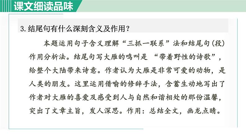 部编版八年级语文下册 第2单元 7大雁归来 课件04