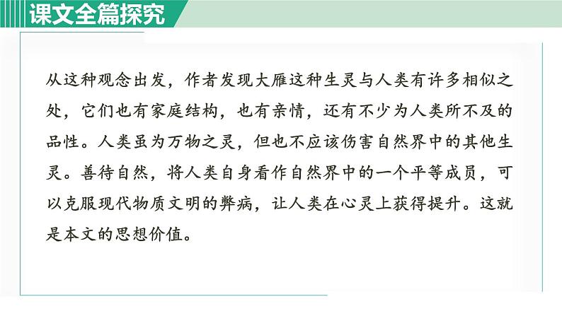 部编版八年级语文下册 第2单元 7大雁归来 课件06