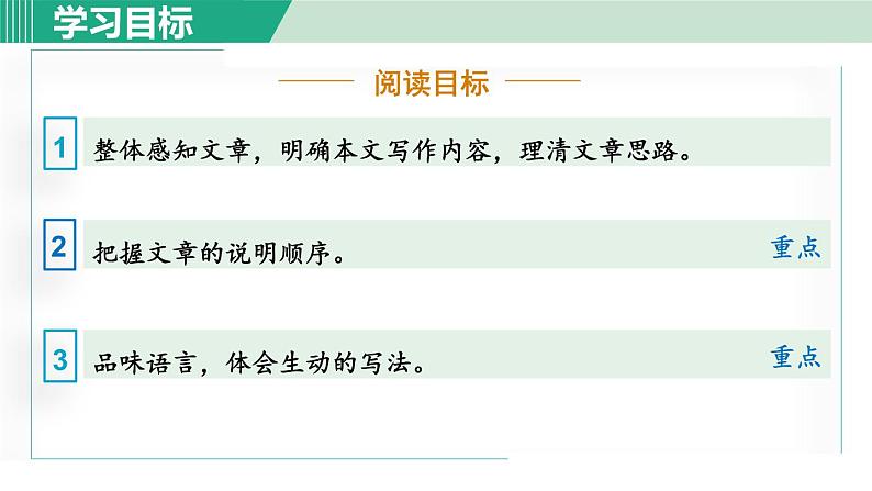 部编版八年级语文下册 第2单元 8时间的脚印 课件02