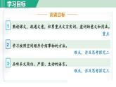 部编版八年级语文下册 第3单元 11核舟记 课件
