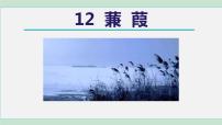初中第三单元12《诗经》二首蒹葭示范课ppt课件