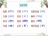 5 大自然的语言 课件 初中语文人教部编版（五四制）八年级下册（2022年）