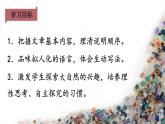 8 时间的脚印 课件 初中语文人教部编版（五四制）八年级下册（2022年）