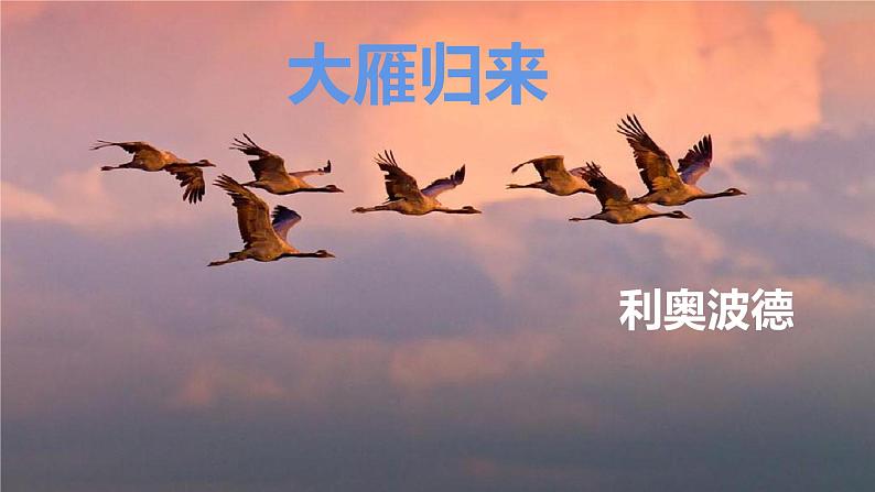 7 大雁归来 课件 初中语文人教部编版（五四制）八年级下册（2022年）第1页