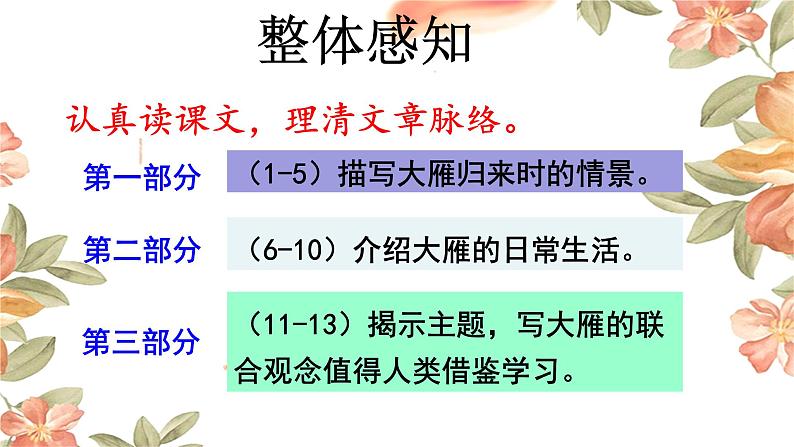 7 大雁归来 课件 初中语文人教部编版（五四制）八年级下册（2022年）08