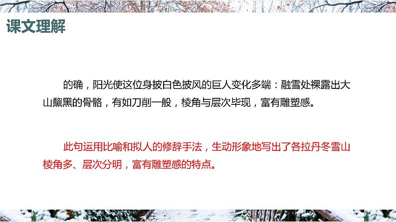 18.在长江源头各拉丹冬 课时2 初中语文人教部编版（五四制）八年级下册（2022年）课件PPT05