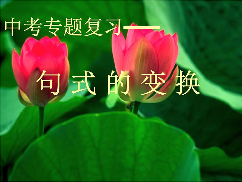 2022年中考语文一轮复习：句式的变换（共23张PPT）第1页