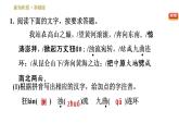 人教版七年级下册语文 第2单元 5　黄河颂 习题课件