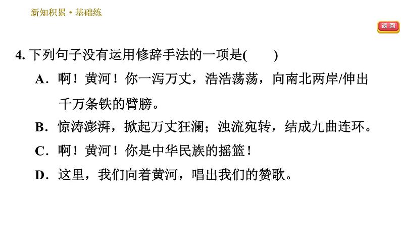 人教版七年级下册语文 第2单元 5　黄河颂 习题课件第8页