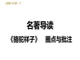 人教版七年级下册语文 第3单元 名著导读 《骆驼祥子》　圈点与批注 习题课件