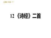 人教版八年级下册语文 第3单元 12 《诗经》二首 习题课件0