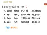 人教版八年级下册语文 第3单元 12 《诗经》二首 习题课件0