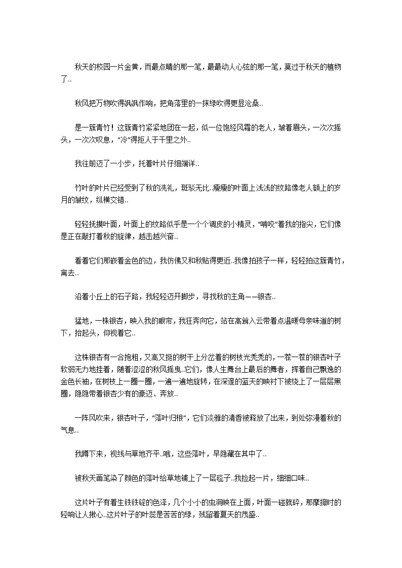 走过秋天作文02