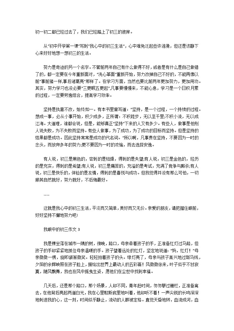 我眼中的初三作文（精选5篇）第2页